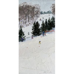 Toggenberg Ski School